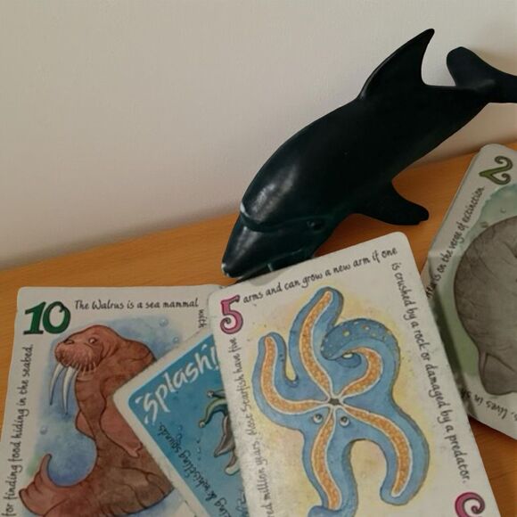 2017 Splash! The Card Game Of Fast Action and Fast Fun Cute Game COMPLETE - Picture 7 of 9